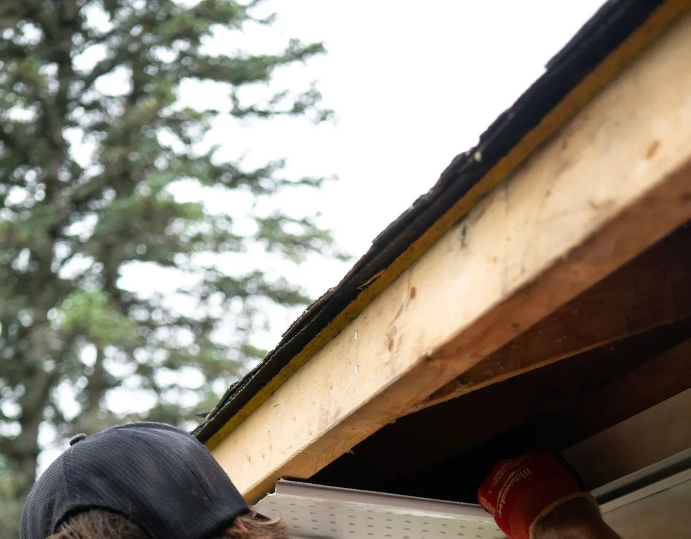 Soffit & Fascia Installation
